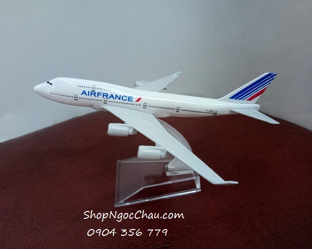 air France 16cm.jpg